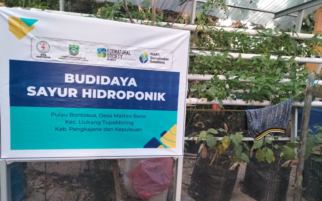 Sayur Untuk Kebutuhan Pangan Masyarakat Kepulauan