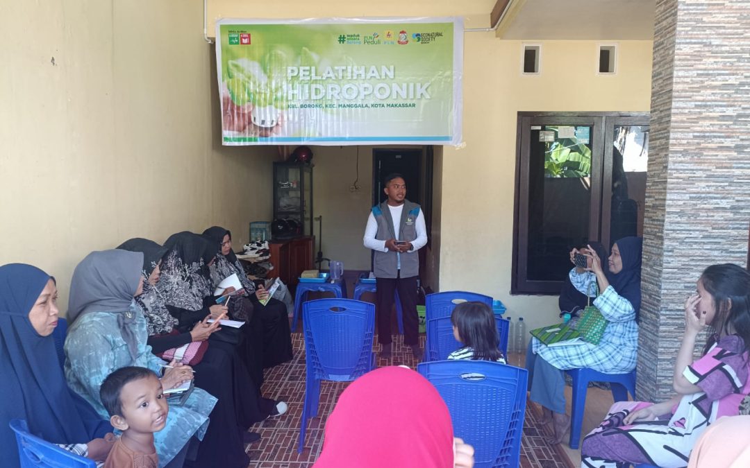 Pelatihan Budidaya sayur Dengan Sistem Hidroponik